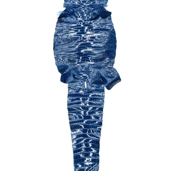 ポロサス シャイニングブルー