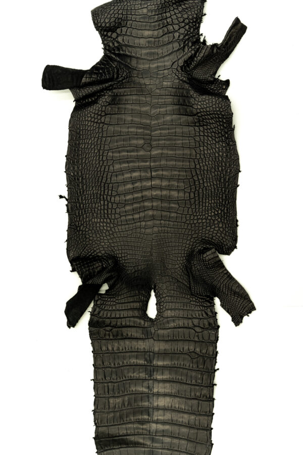 アリゲーター マットブラック 36