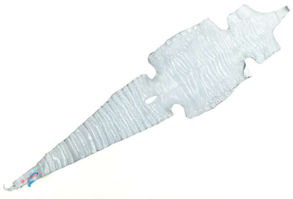 ナイル ミレニアムライトグレー 36