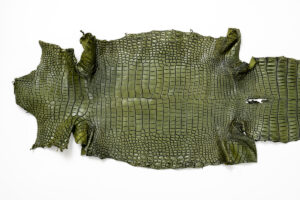 ポロサス ATグリーン 33