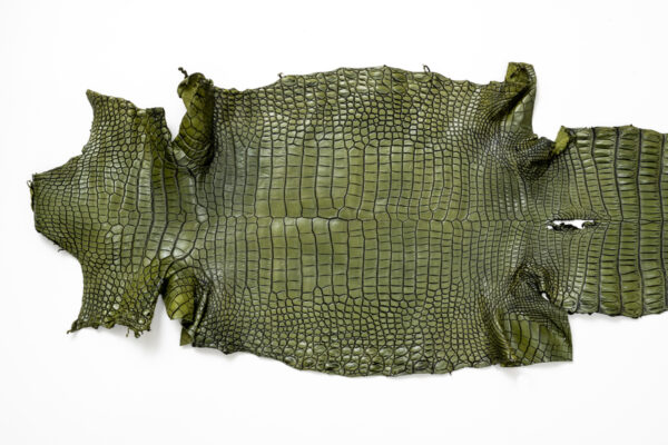 ポロサス ATグリーン 33