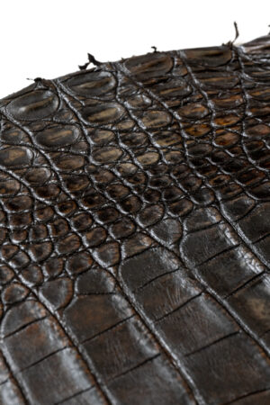 ポロサス ATブラウン 32