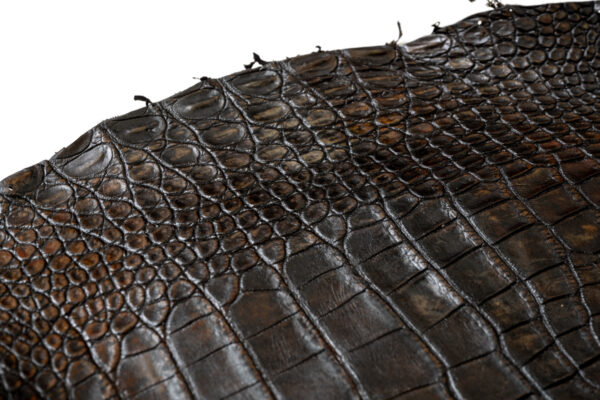 ポロサス ATブラウン 32