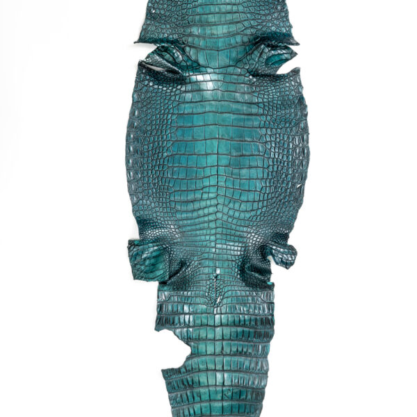 ラージ ATグラデーショングリーン 42