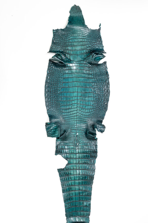 ラージ ATグラデーショングリーン 42