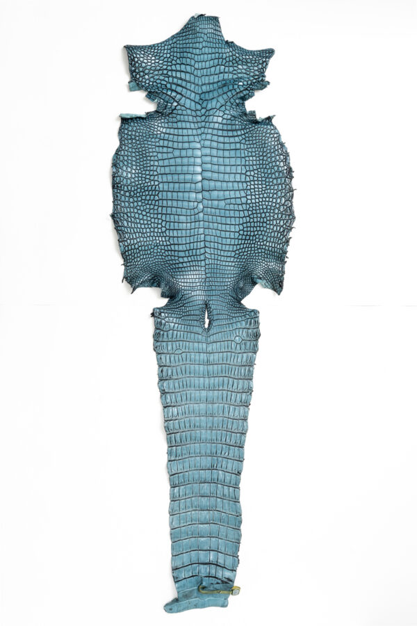 ポロサス ATライトブルー 39