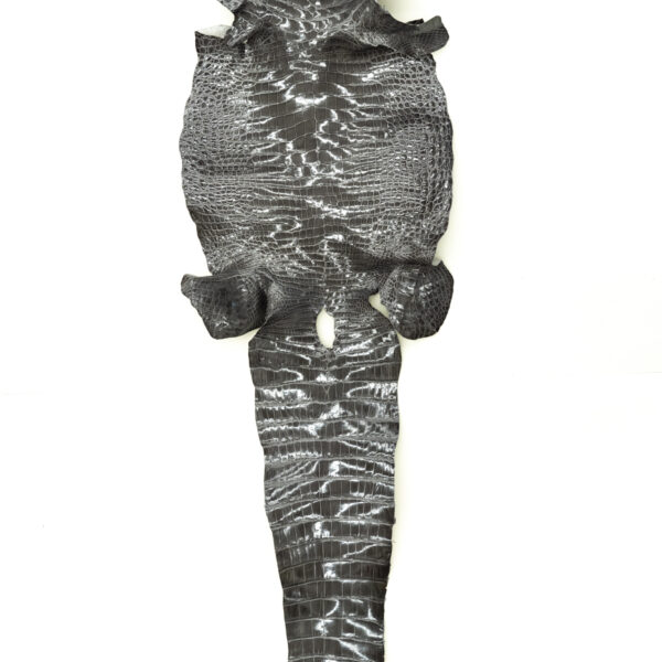 シャイニンググレー