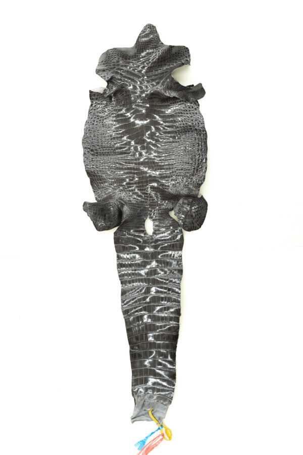 シャイニンググレー