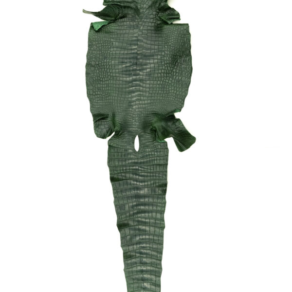 ポロサス マットグリーン 35