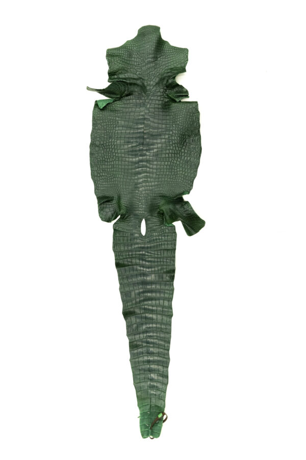 ポロサス マットグリーン 35