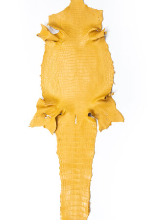 ポロサス マットマスタード 36