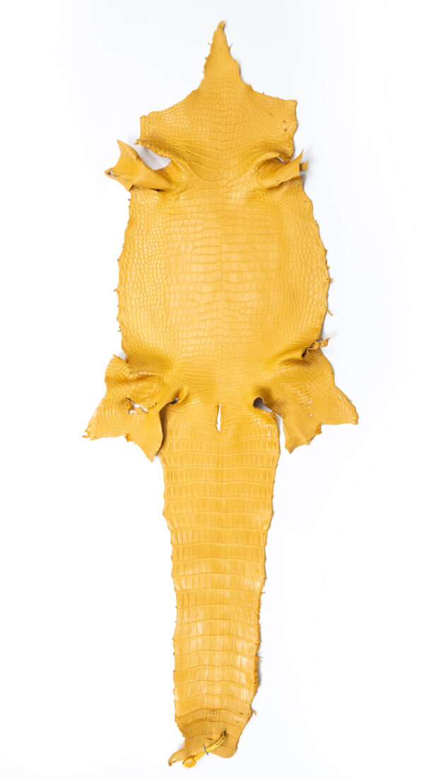 ポロサス マットマスタード 36