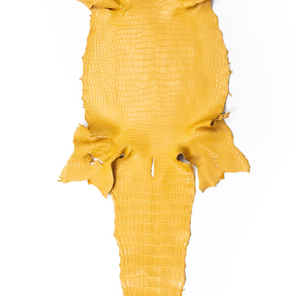 ポロサス マットマスタード 36