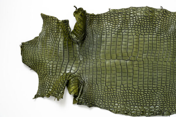 ポロサス ATグリーン 33