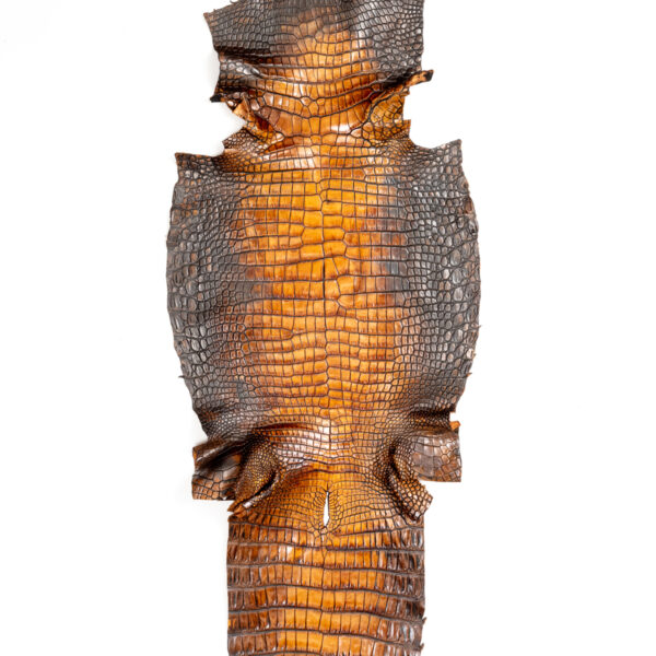 ラージ ATグラデーションブラウン 43