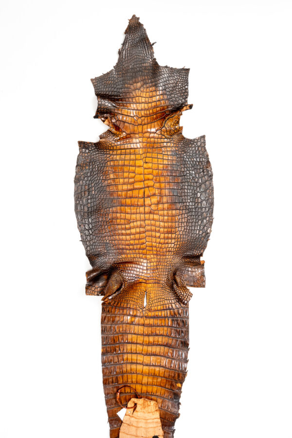 ラージ ATグラデーションブラウン 43