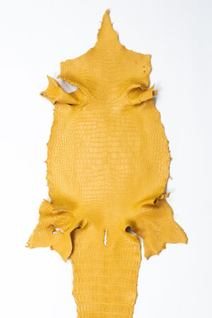 ポロサス マットマスタード 36