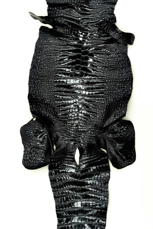 ポロサス シャイニングブラック