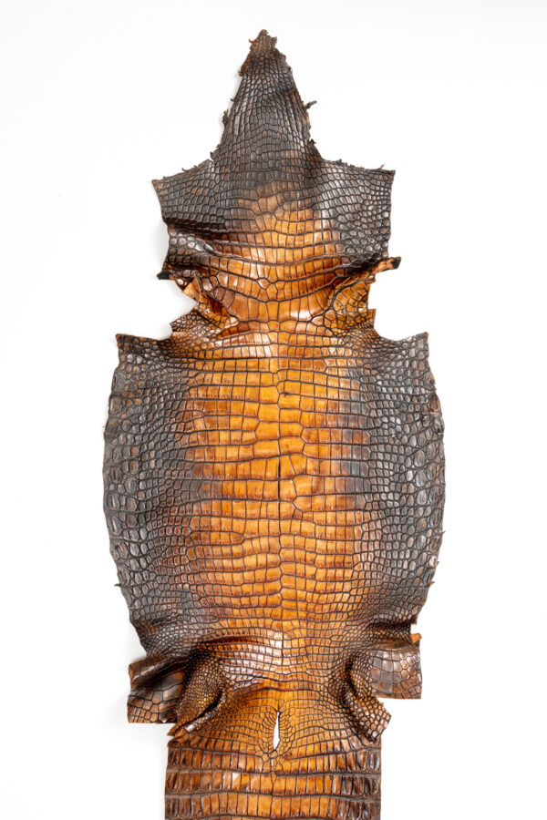 ラージ ATグラデーションブラウン 43