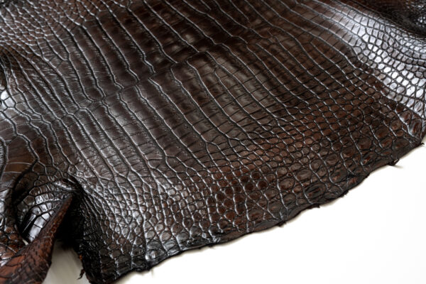 ポロサス ATブラウン 32