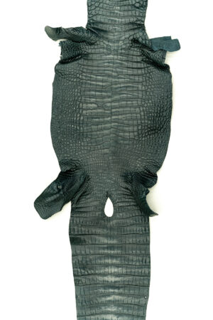 アリゲーター マットグリーン