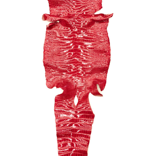 ポロサス シャイニングレッド 42