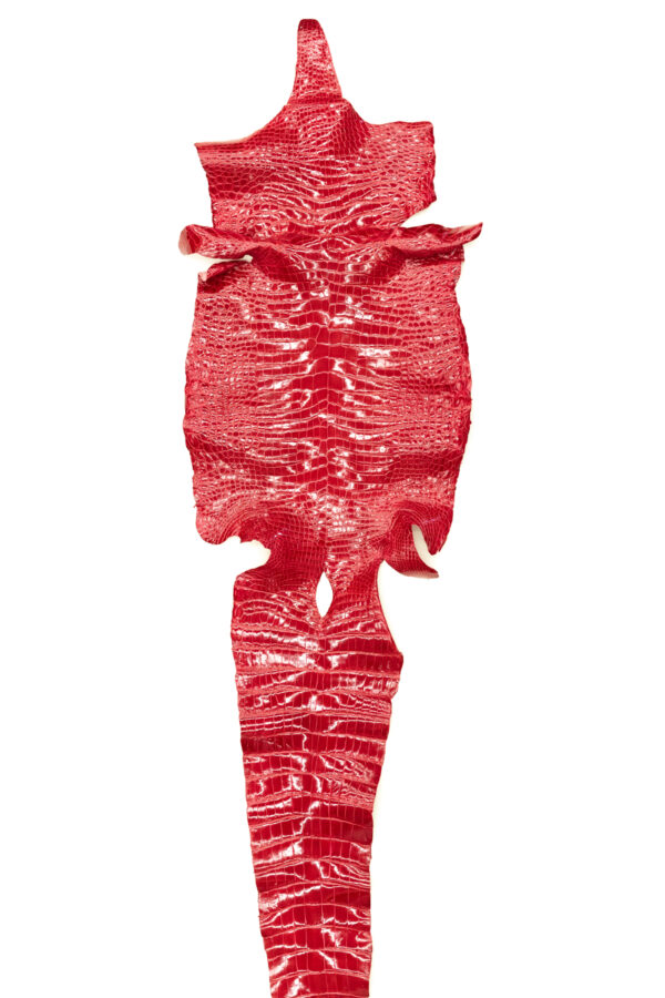 ポロサス シャイニングレッド 42