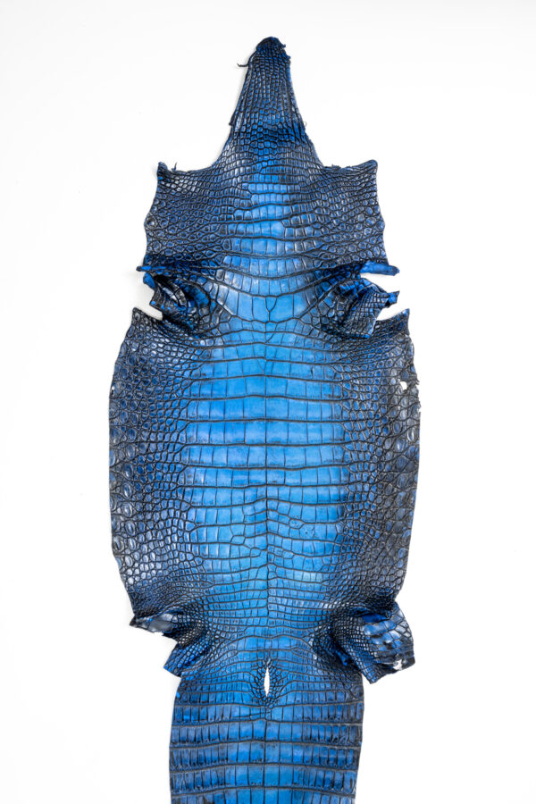 ラージ ATグラデーションブルー 44