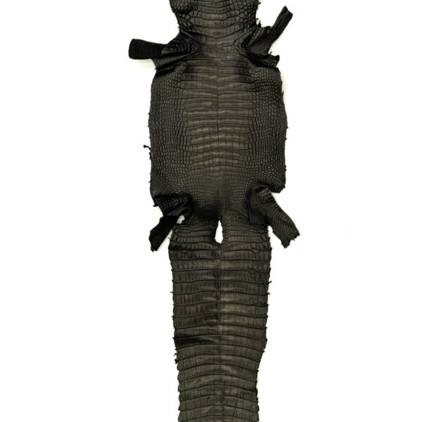 アリゲーター マットブラック 36