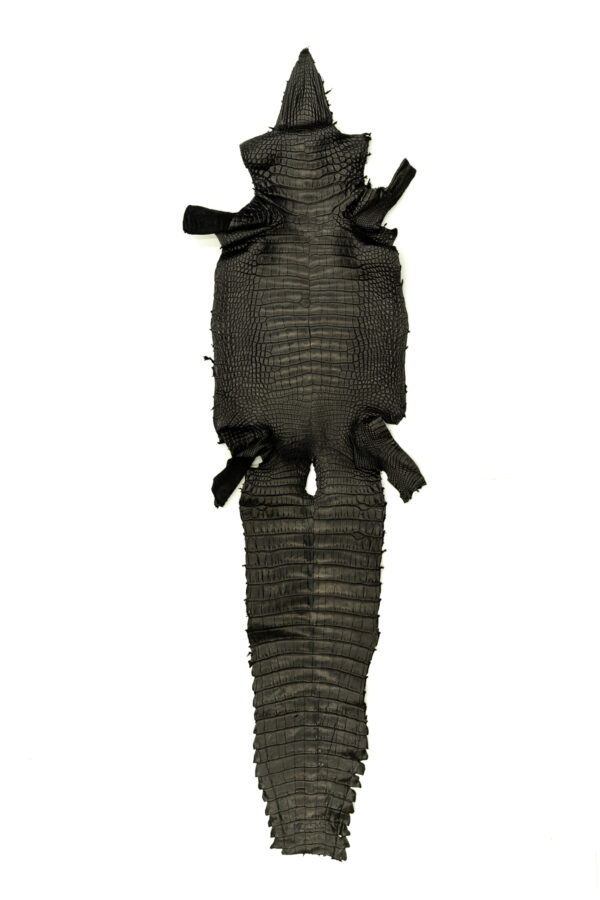 アリゲーター マットブラック 36