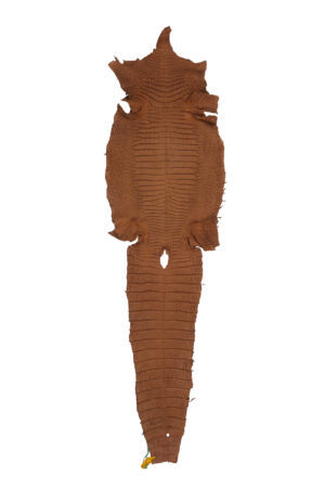 ポロサス　ヌバックコニャック