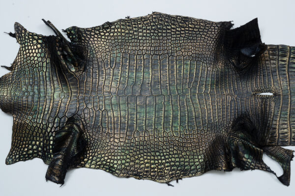 ポロサス　ダークモスブラック (2)