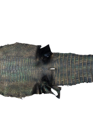 ポロサス　ダークモスブラック