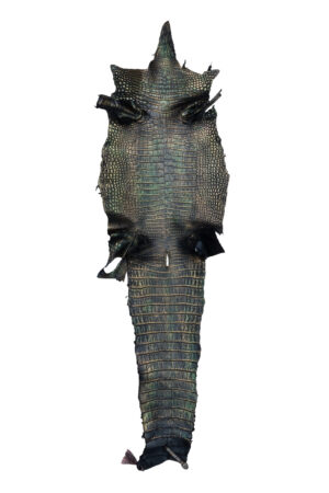 ポロサス　ダークモスブラック