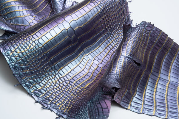 ポロサスオーロラバイオレット (2)