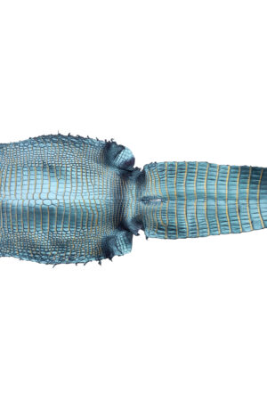 ポロサス　オーロラバイオレット