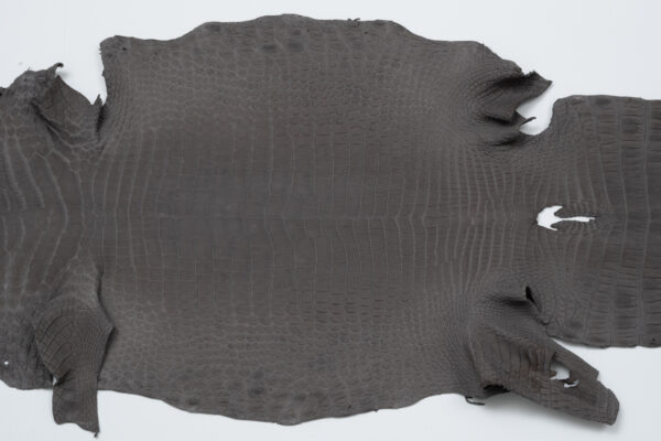 ポロサスサドルグレー (2)