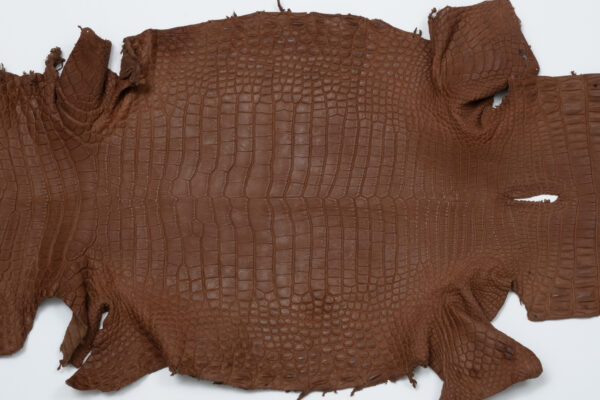 ポロサスサドルブラウン (2)