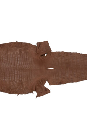 ポロサス　サドルブラウン