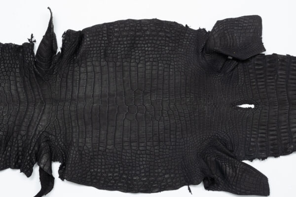 ポロサスサドルブラック (2)