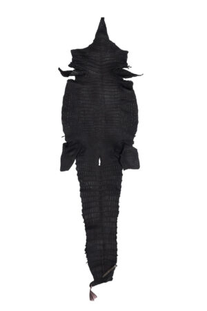 ポロサス　サドルブラック