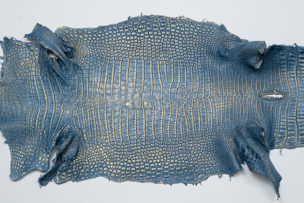 ポロサスデニムゴールド (2)