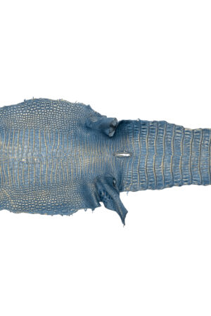 ポロサス　デニムゴールド