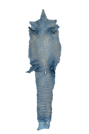 ポロサス　デニムゴールド