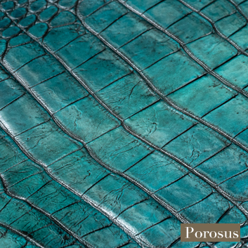 ATグラデーショングリーン