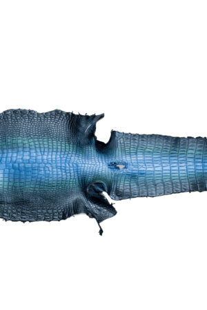 ポロサス　コズミックブルー